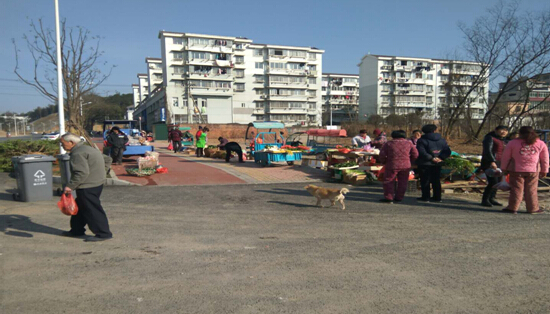 雙創(chuàng)雙修、美化環(huán)境