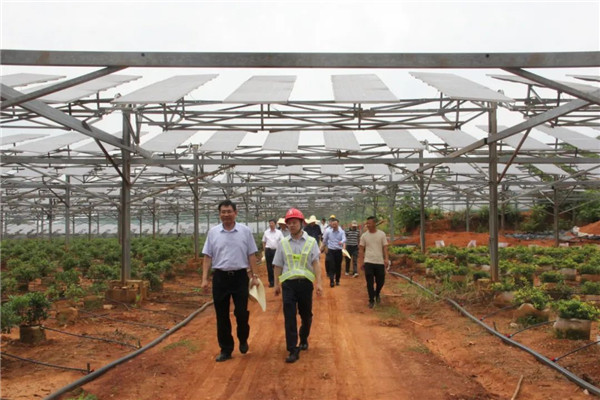 張小平赴景德鎮(zhèn)調(diào)研碳達(dá)峰碳中和工作