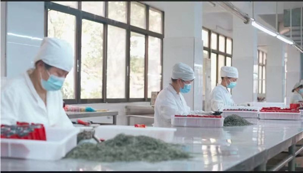 我市一企業(yè)連續(xù)23年獲評農(nóng)業(yè)產(chǎn)業(yè)化國家重點(diǎn)龍頭企業(yè) 將投資14億元打造綠色循環(huán)現(xiàn)代化農(nóng)業(yè)產(chǎn)業(yè)園