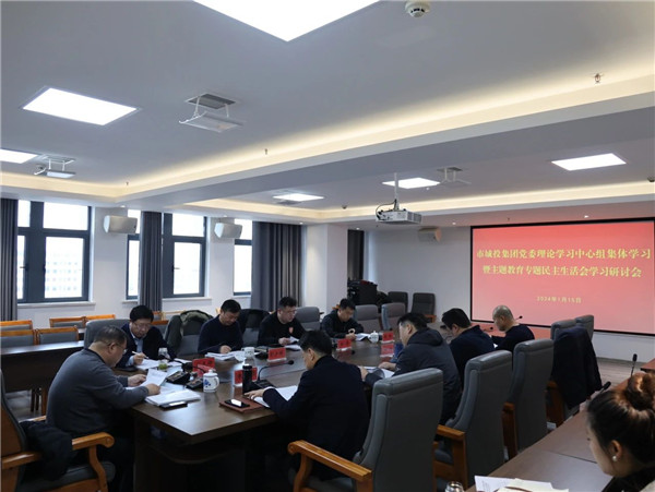 市城投集團(tuán)召開黨委理論中心組集體學(xué)習(xí)暨主題教育專題民主生活會學(xué)習(xí)研討會