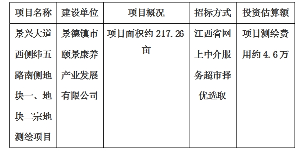 景興大道西側(cè)緯五路南側(cè)地塊一、地塊二宗地