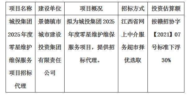 城投集團2025年度零星維護維保服務(wù)項目招標代理計劃公告