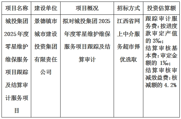 城投集團2025年度零星維護維保服務(wù)項目跟蹤及結(jié)算審計服務(wù)項目計劃公告