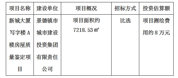 新城大廈寫字樓A樓房屋質(zhì)量鑒定項(xiàng)目計(jì)劃公告